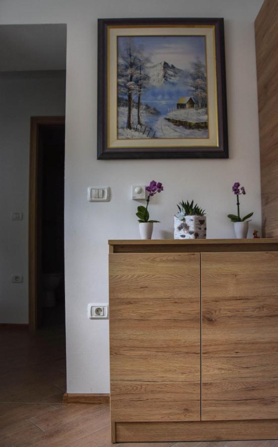 Hisa Bohinc Z Wellnessom Villa Tolmin Kültér fotó
