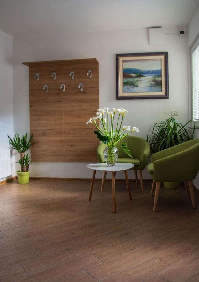 Hisa Bohinc Z Wellnessom Villa Tolmin Kültér fotó