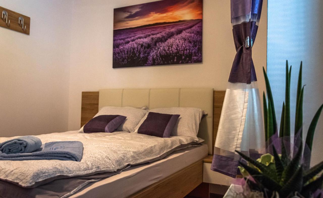 Hisa Bohinc Z Wellnessom Villa Tolmin Kültér fotó